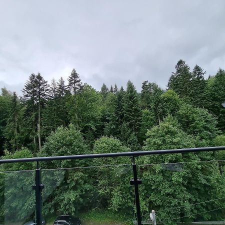 Apartament Dwupoziomowy Z Klimatyzacja Lejlighed Krynica Zdroj Eksteriør billede