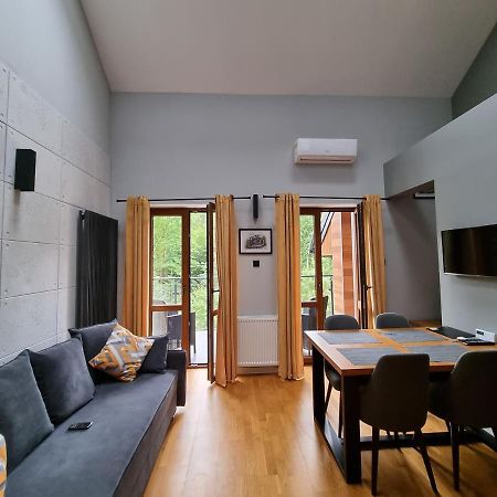 Apartament Dwupoziomowy Z Klimatyzacja Lejlighed Krynica Zdroj Eksteriør billede