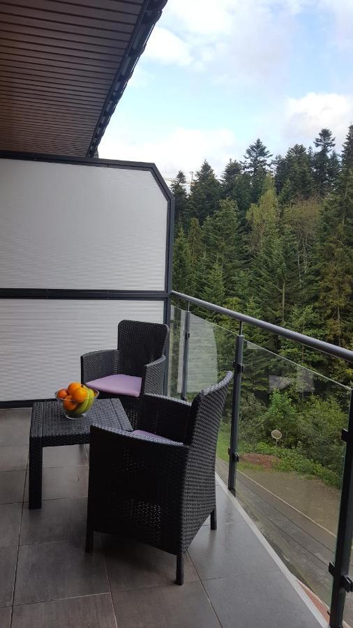 Apartament Dwupoziomowy Z Klimatyzacja Lejlighed Krynica Zdroj Eksteriør billede