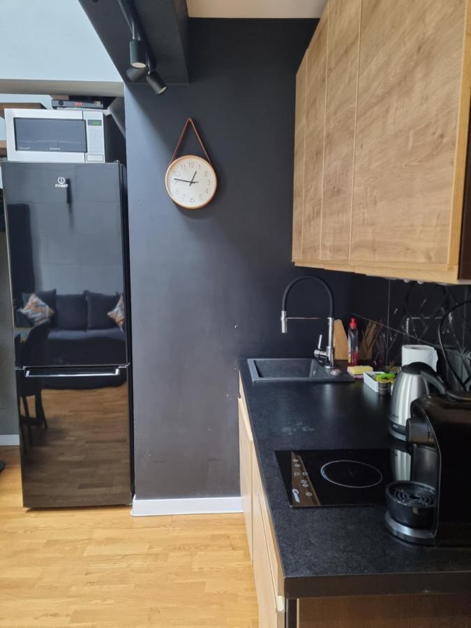 Apartament Dwupoziomowy Z Klimatyzacja Lejlighed Krynica Zdroj Eksteriør billede